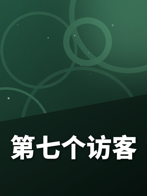第七个访客