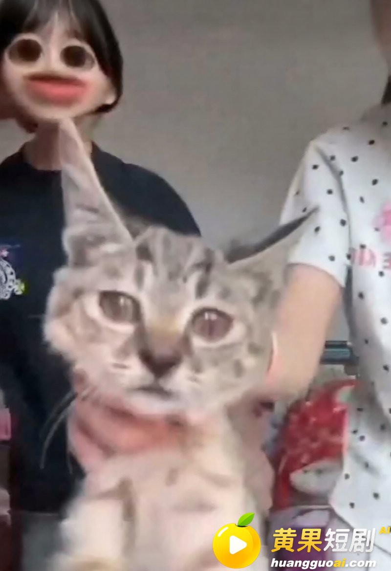 快手网红牙不齐与白米粥 虐猫私拍流出 狠辣抛掷吊脖 崩塌人设引发全网刷屏