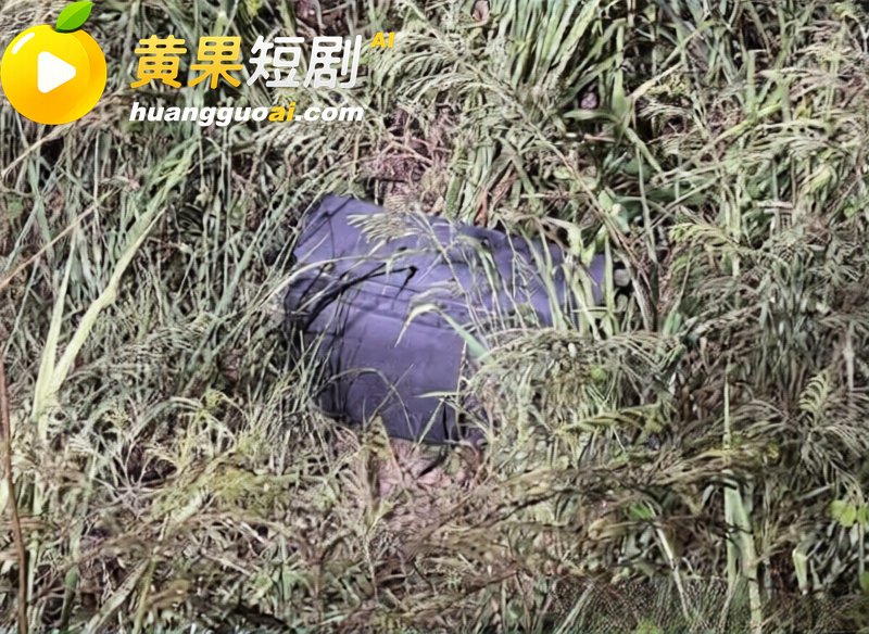 46岁澳洲男子残杀泰国少女 裸体尸体塞入行李箱抛弃铁轨 企图潜逃海外被抓实锤