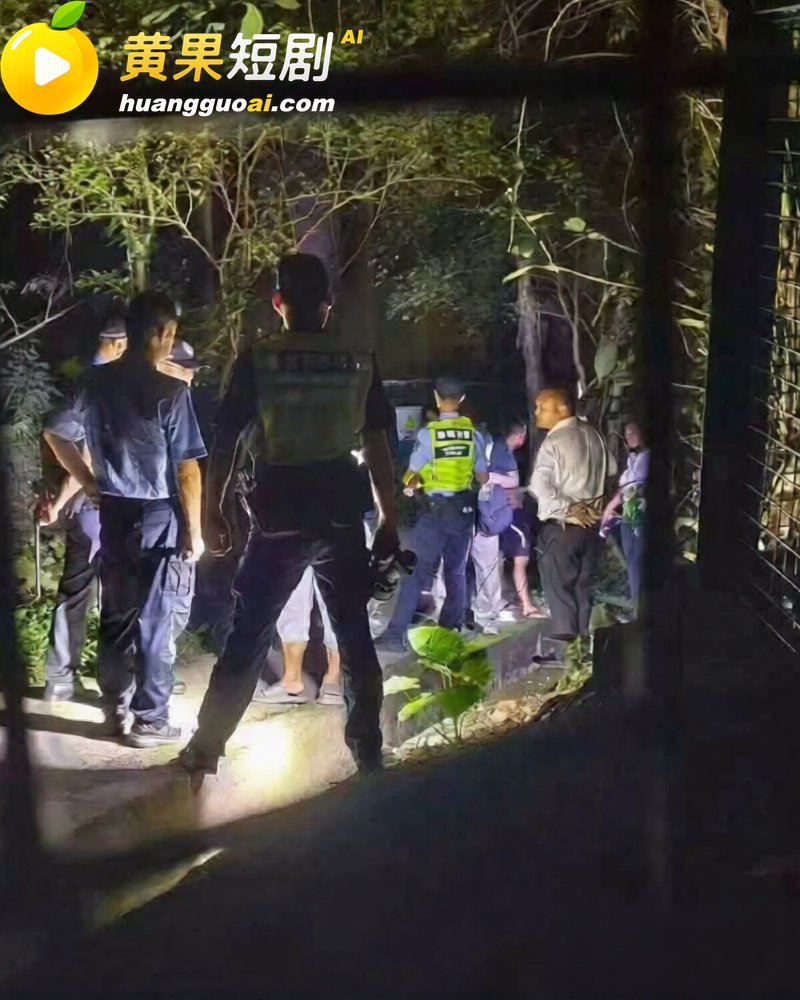 广东 深圳龙岗雅宝公园 群gay互约 染病的gay被人拒绝 现场举报引来大批警察抓人