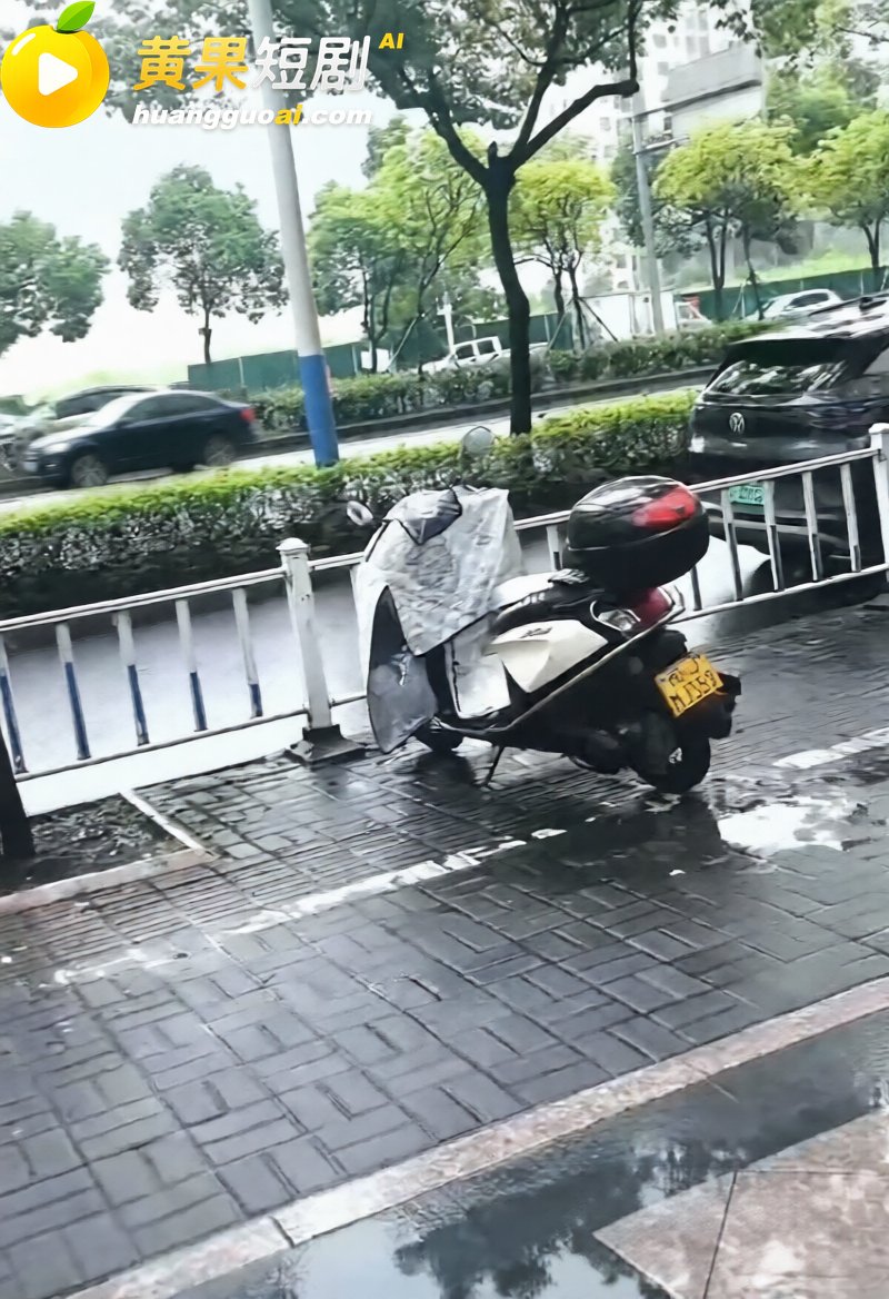 福建宁德突发疯牛狂奔事件 多车被撞受损 全网玩梗铁扇公主跟猴哥私奔 气疯绿帽牛魔王