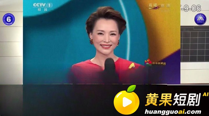 央视一姐 董卿 隐秘黑历史曝光 从知三当三到老公欠九亿 疑似被高官包养十年